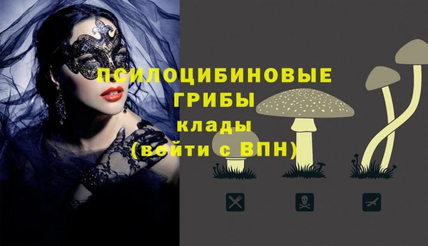 ГАЛЛЮЦИНОГЕННЫЕ ГРИБЫ Алексеевка
