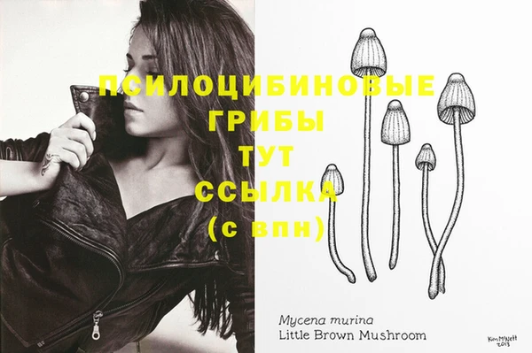 мет Алзамай