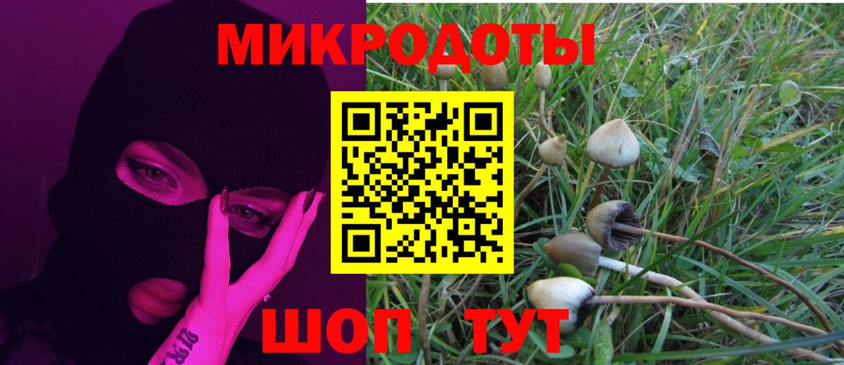 Тверь  Псилоцибиновые грибы Magic Shrooms  Вход с VPN  Галлюциногенные грибы ЛСД 