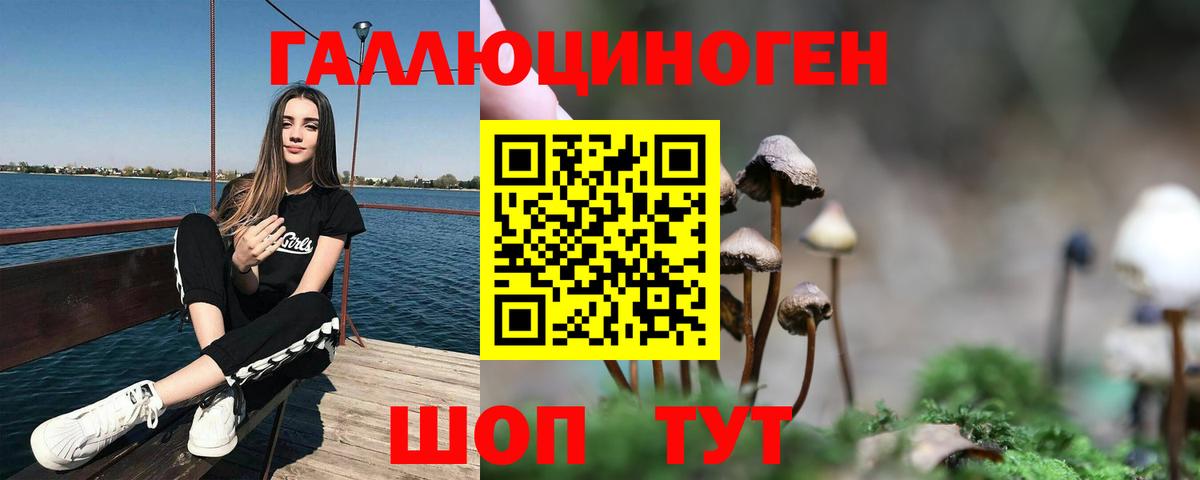 Галлюциногенные грибы Magic Shrooms Тверь